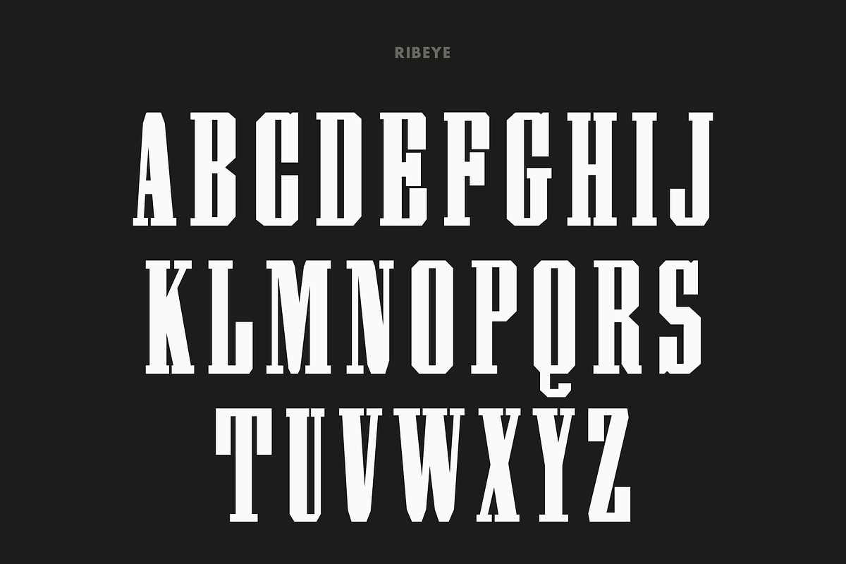 Pale Horse, a Slab Serif Font by Pale Horse (Photo 7 of 11)