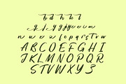 Breatheasy Modern Brush Font Type, a Script Font by Letterena Studios Script (Thumbnail 12 of 15)