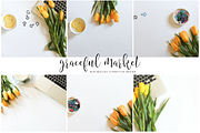 Yellow Tulips 6 Stock Images Bundle, a Background Photo by Graceful Market (Thumbnail 1 of 2)