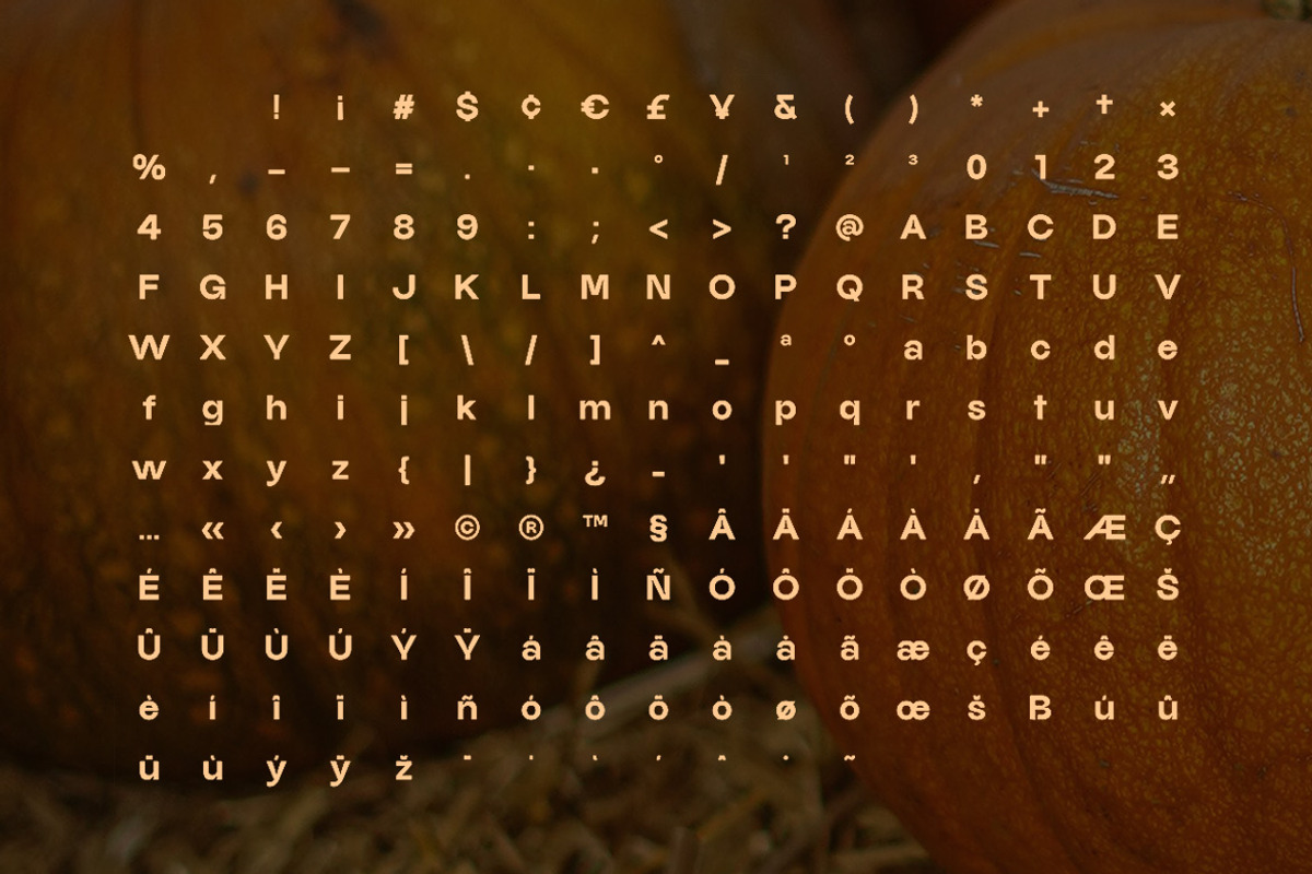 Carvello - Modern & Seasonal Sans, a Sans Serif Font by Webhance Studio (Photo 9 of 12)