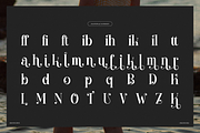 Miofarin | Display Modern Serif, a Serif Font by Denustudios (Thumbnail 15 of 15)