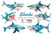 OCEAN BUNDLE, an Animal Illustration by Evgeniia (Thumbnail 5 of 16)
