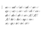 Liliane Classe Serif Font Family, a Serif Font by Ryul Davidson (Thumbnail 10 of 21)