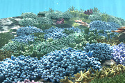 3D Cartoon Underwater Coral Reef Hab, an Environmental 3D Model by NOMODOL (Thumbnail 2 of 24)