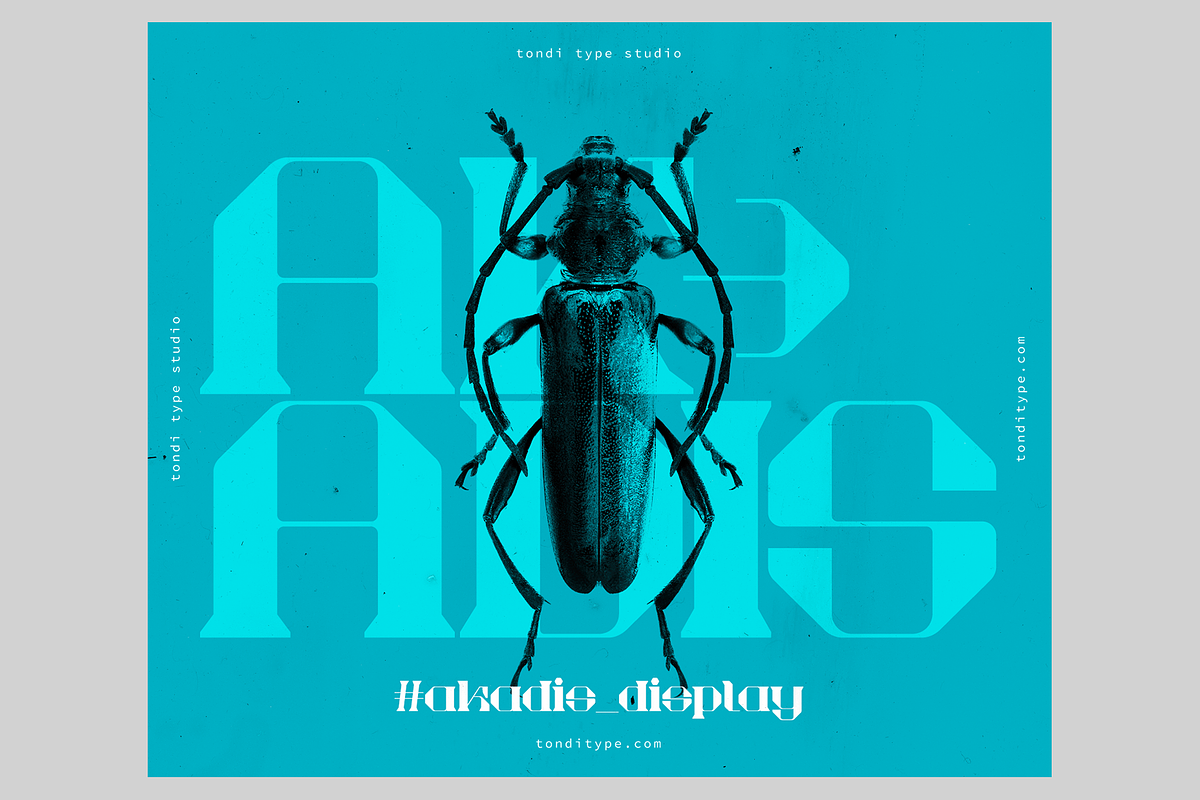 Akadis Display Font, a Serif Font by Tondi Type Studio (Photo 18 of 18)