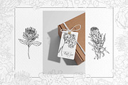 Floral Line Art Clipart, an Illustration by BalanceUA (Thumbnail 6 of 6)