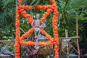 Decorative skeleton suspended inside
