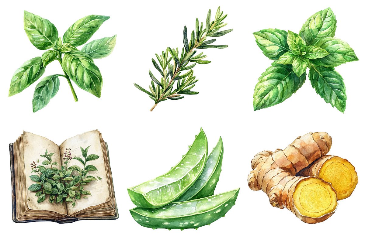 Botanical Wellness Watercolor Clipar, an Illustration by Daily.Designs (Photo 4 of 4)