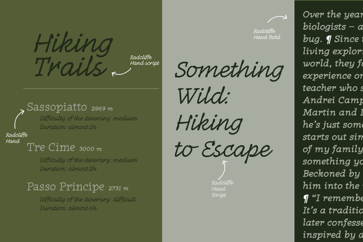 Radcliffe Hand - 7 fonts, a Serif Font by Zetafonts (Photo 10 of 14)