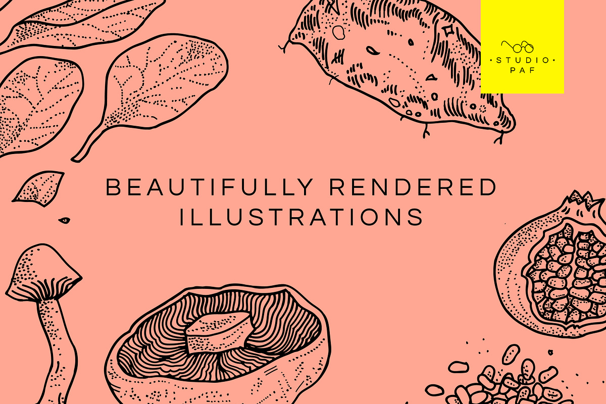 Fruit & Veg - Hand Drawn Vectors, a Food Illustration by STUDIO PAF (Photo 4 of 8)