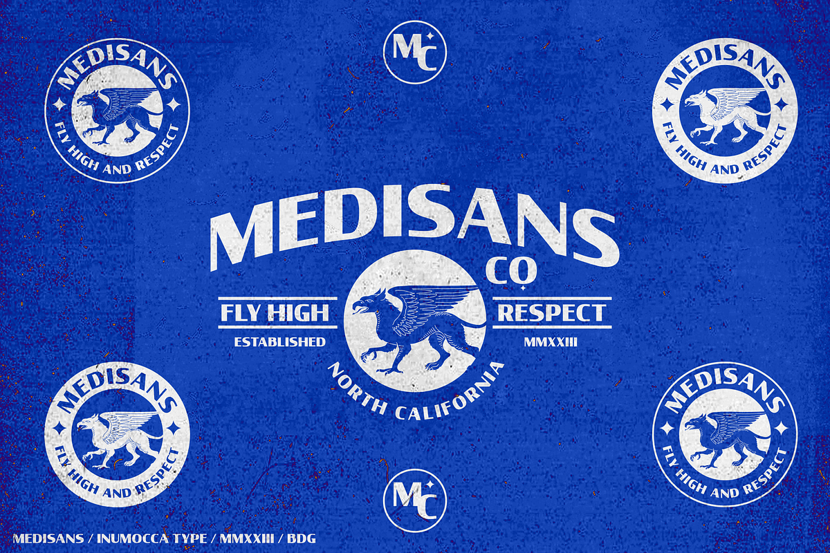 Medisans, a Sans Serif Font by inumocca_type (Photo 8 of 13)