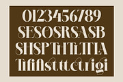 Belgina | Modern Unique Serif, a Serif Font by Typoraith Co (Thumbnail 14 of 16)