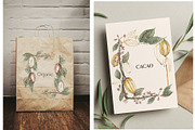 Watercolor Cacao Beans, a Food Illustration by MayaNavits (Thumbnail 12 of 13)