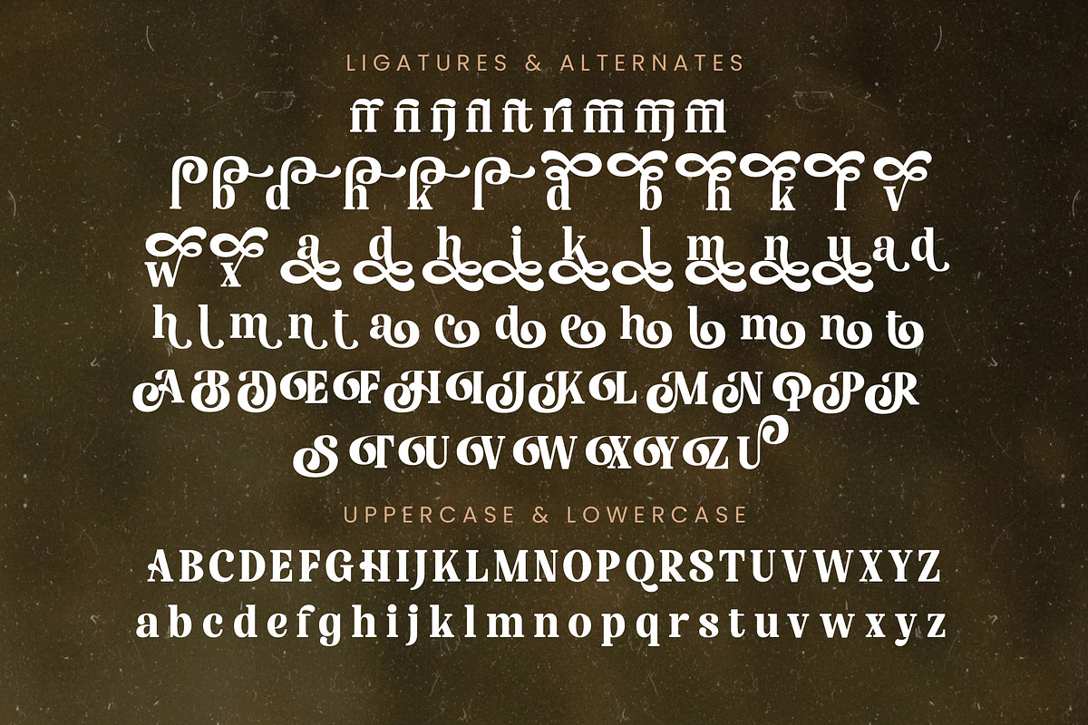 Nofiani Katrie Modern Serif Font, a Serif Font by timelesstype.co (Photo 19 of 20)