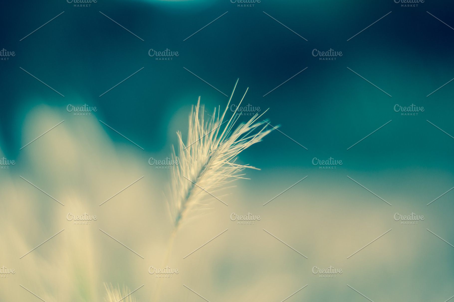 Breeze