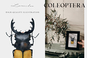 Beetles watercolor collection, an Animal Illustration by Diana Askarova Art (Thumbnail 5 of 12)