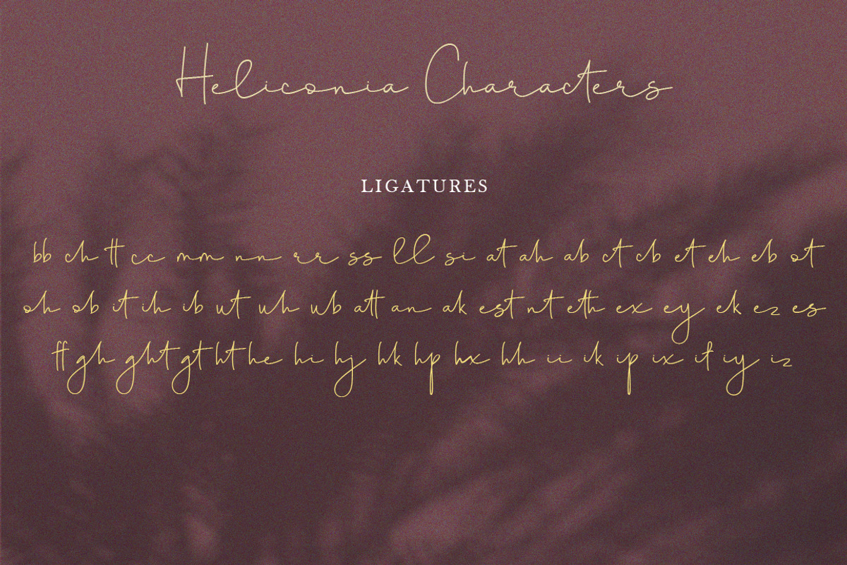Heliconia Script Font, a Script Font by Face Lab (Photo 8 of 8)