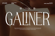 TT Galiner – Timeless Elegance Serif, a Serif Font by truetype (Thumbnail 1 of 15)