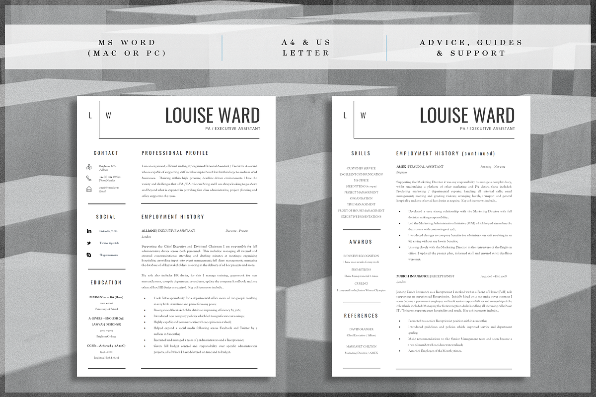 Professional Resume Template, a Resume Template by introDuice - CV / Resumes (Photo 2 of 6)