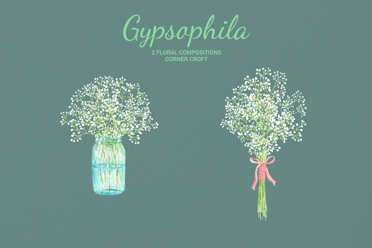 Watercolor Gypsophila Baby's Breath, an Illustration by Corner Croft (Photo 2 of 7)