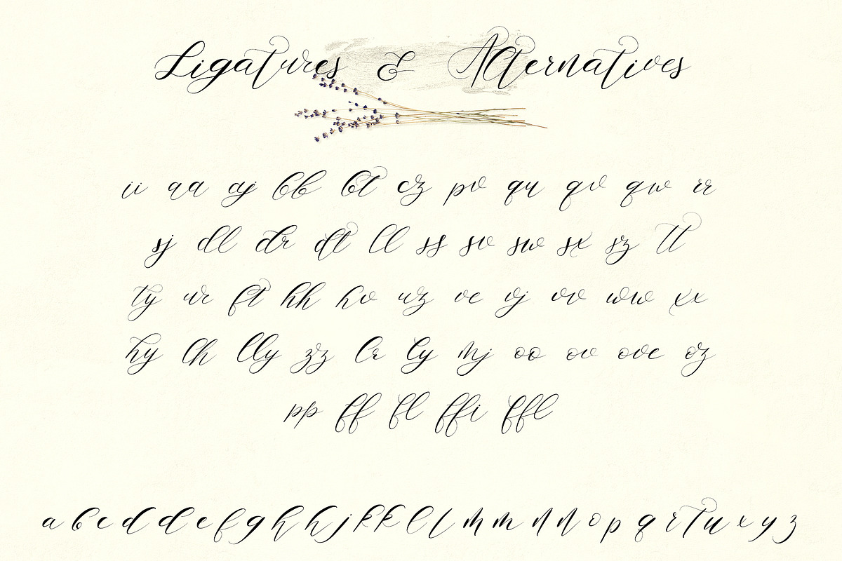 Zemarah script - 3 styles + Extras, a Script Font by VP Fonts (Photo 9 of 14)
