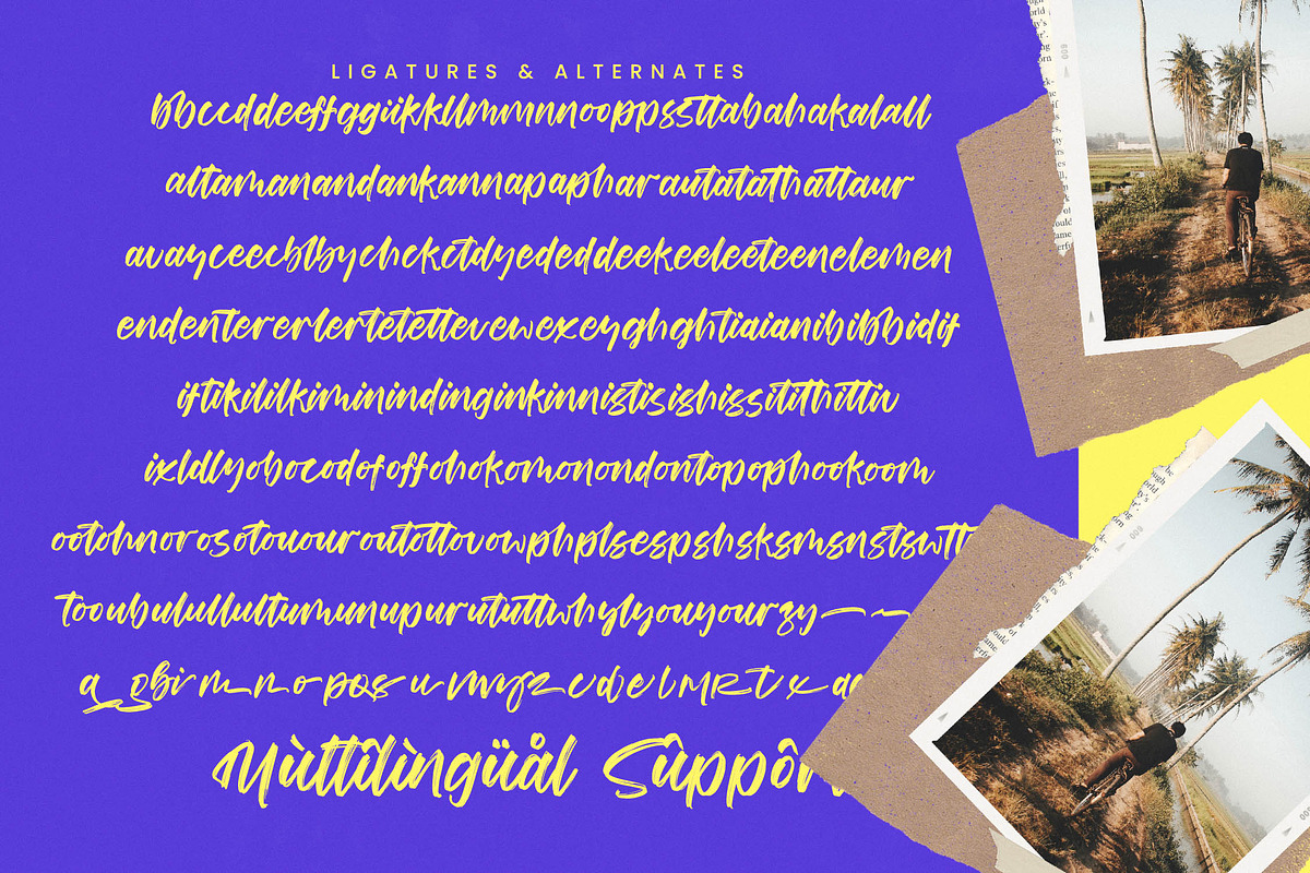 Joyfuls Stories Modern Handwritten, a Script Font by stylishtype.co (Photo 19 of 20)