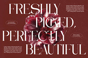 Moonlit Charm Modern Display Serif, a Serif Font by timelesstype.co (Thumbnail 11 of 20)