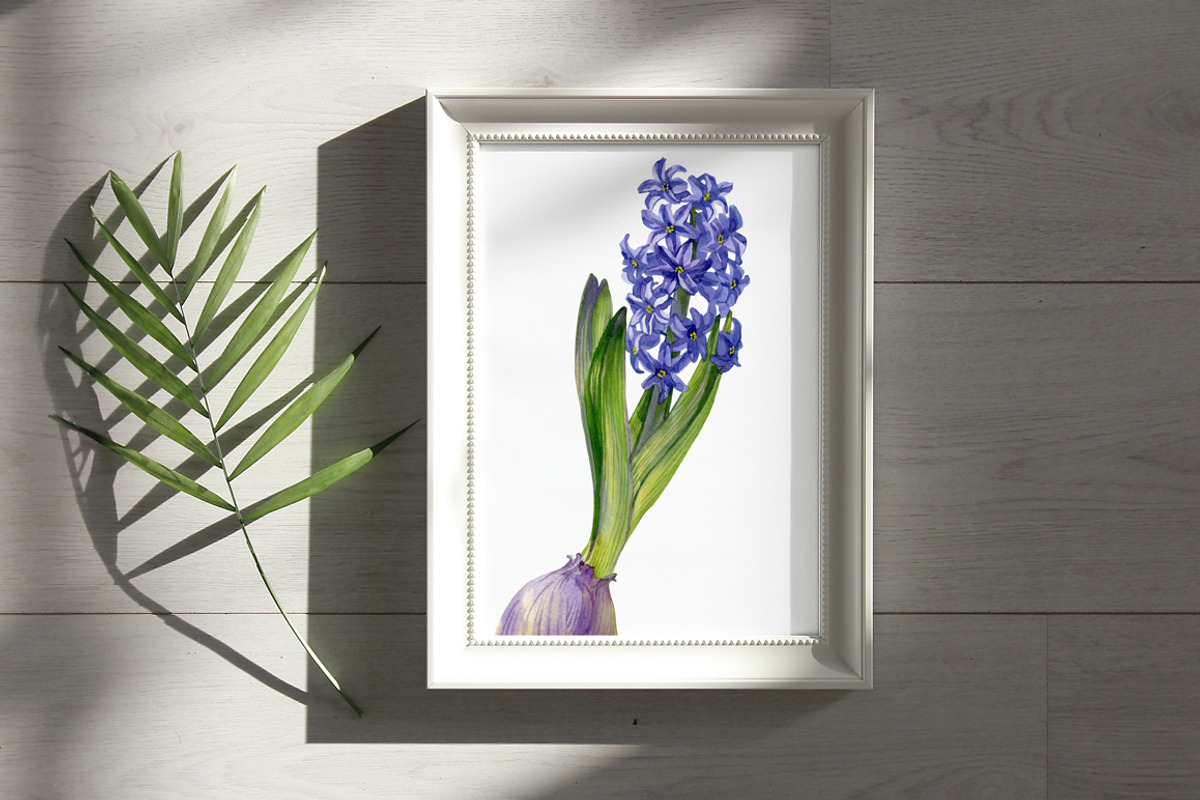 Botanical art watercolor and pencils, a Food Illustration by ViktoriArt (Photo 7 of 16)