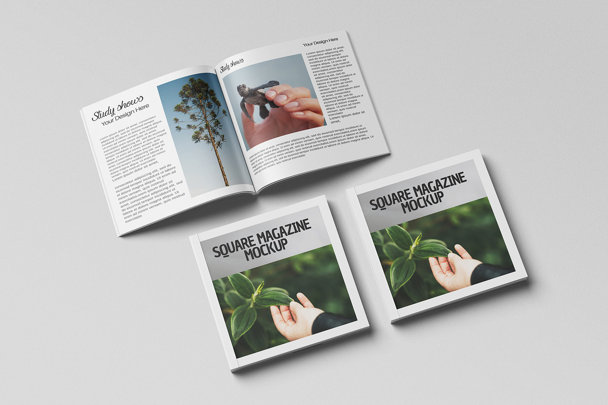 Square Magazine Mockup, a Print Template by Difa Design (Photo 3 of 5)