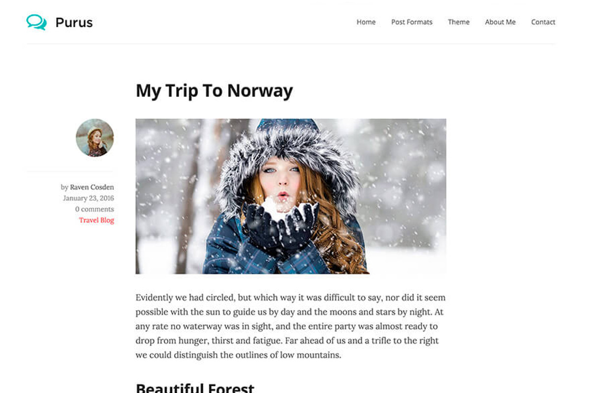 Purus - Clean and Simple WP Blog, a WordPress Template by ProteusThemes