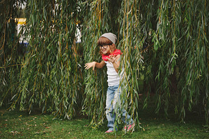 Little girl hiding in the willow foliage stock photo containing playing and