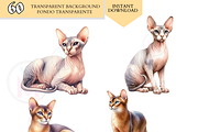 Cat Breeds PNG Bundle Cats Clipart, an Animal Illustration by VM PARTYS  BY TAIRUMA (Thumbnail 6 of 10)