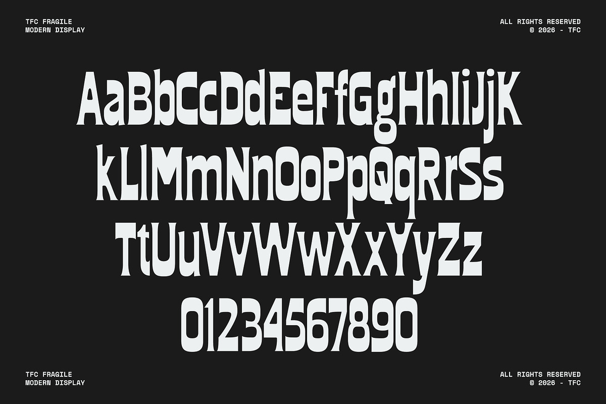 TFC Fragile Font, a Sans Serif Font by Type Flock (Photo 15 of 17)