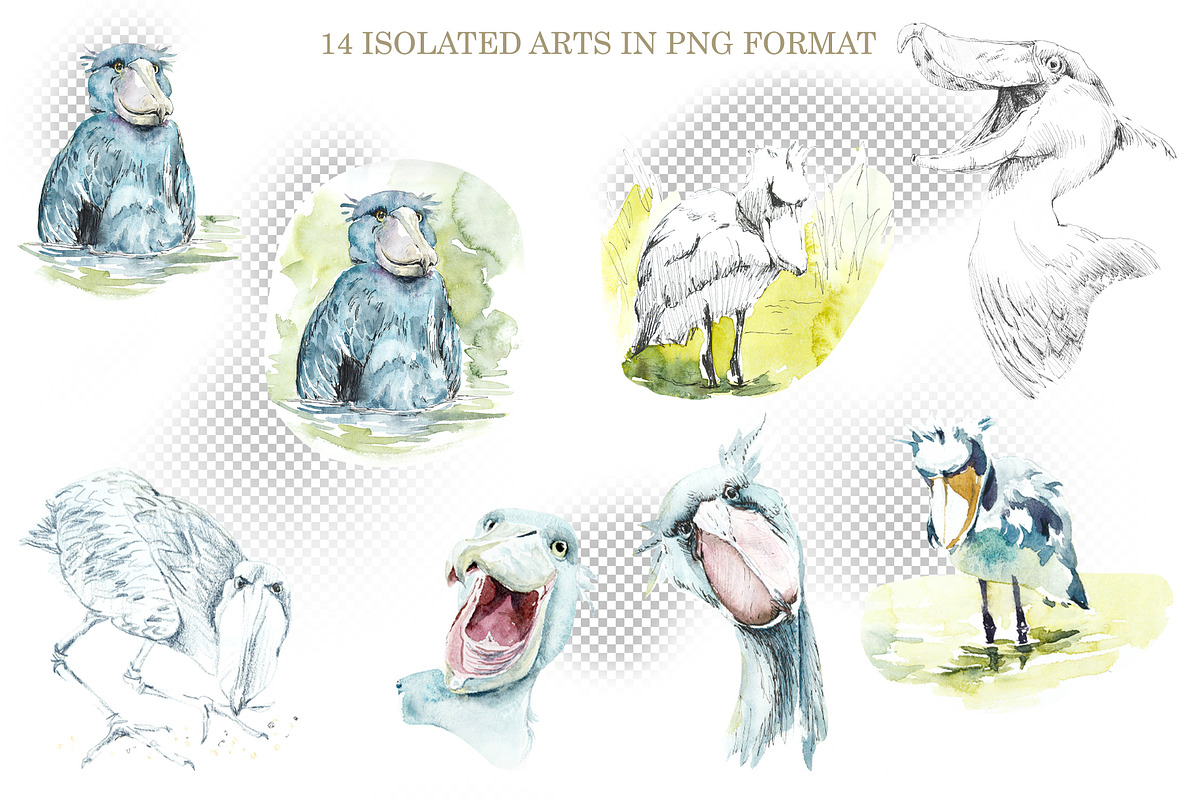 Watercolor Sketches Shoebill, an Animal Illustration by Budogoshch (Photo 3 of 6)