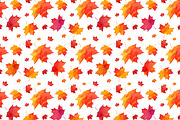 15 Watercolor autumn elements, a Pattern Graphic by Art of Sun (Thumbnail 4 of 5)