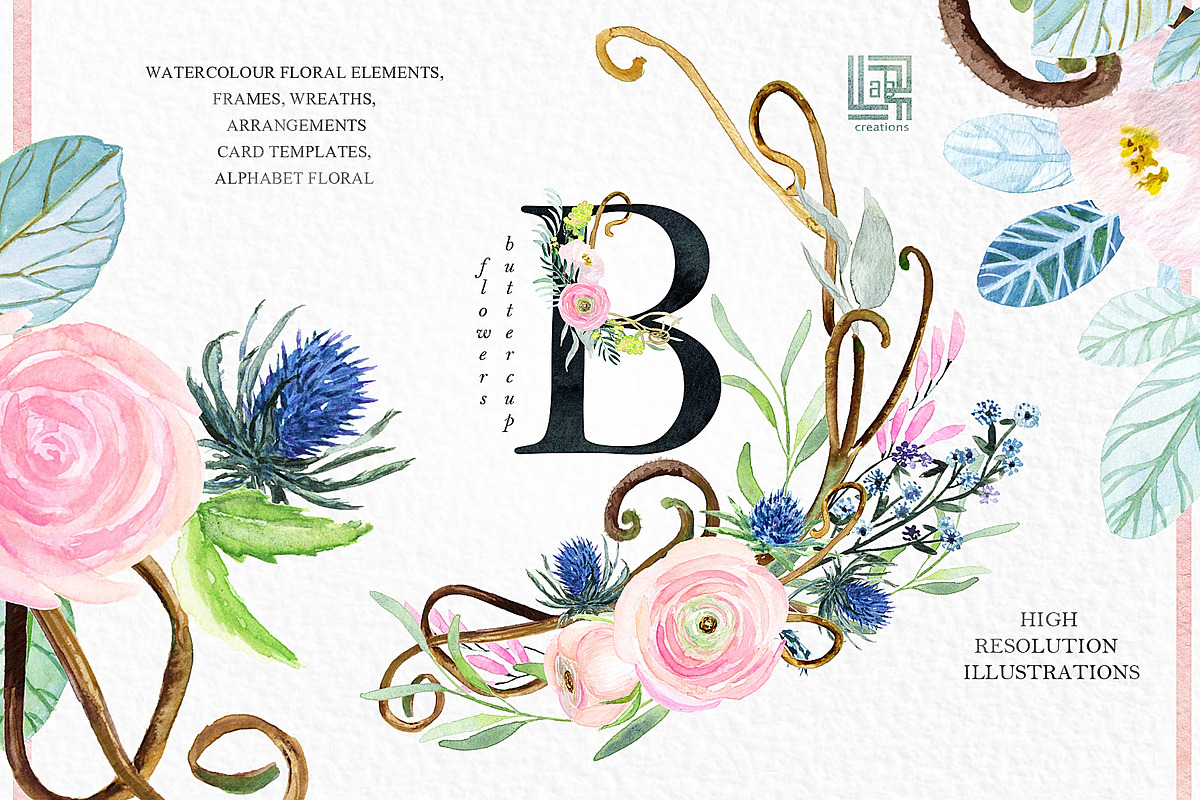 -50% Off Buttercups. Ranunculus pink, an Illustration by LABFcreations (Photo 10 of 12)