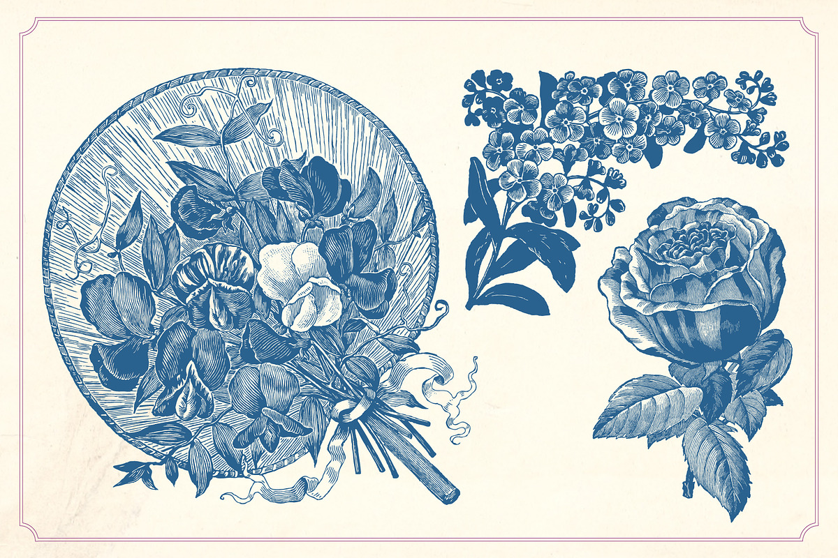 Vintage Flower Illustrations, a Decorative Illustration by Mr Vintage (Photo 10 of 13)