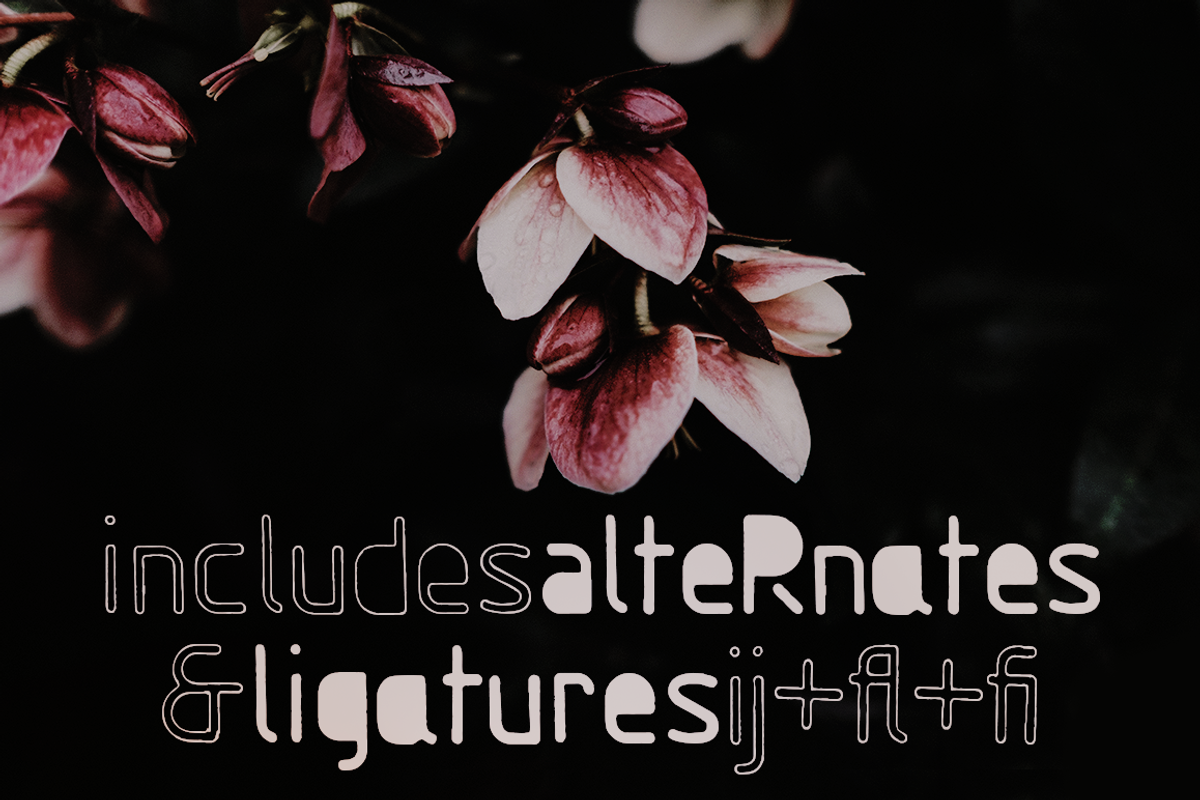 Gumball sans serif font, a Sans Serif Font by Ana's Fonts (Photo 3 of 7)
