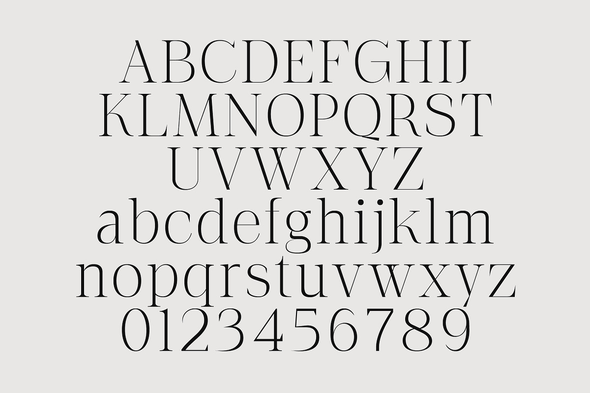 The Letter Editorial – Modern Serif, a Serif Font by Lettertype Studio (Photo 11 of 16)