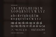 Diglome Elegant Serif Font, a Serif Font by Perfectype (Thumbnail 8 of 8)
