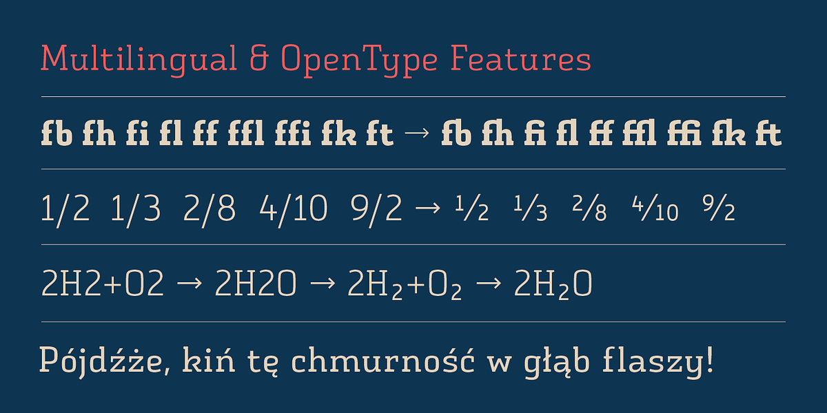 Vivala Slab, a Slab Serif Font by VivalaType (Photo 5 of 9)