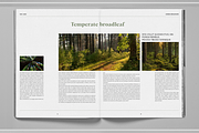 Deep Green Nature Brochure Template, a Brochure Template by Boris Cupac (Thumbnail 5 of 7)