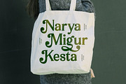 Arguys Regret Display Serif Font, a Serif Font by timelesstype.co (Thumbnail 3 of 20)