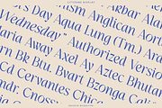 Cityzone, a Serif Font by Wildan Type (Thumbnail 4 of 9)