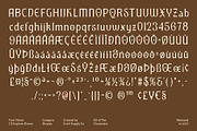 CS Explore Drawn, a Serif Font by Craft Supply Co. (Thumbnail 8 of 8)