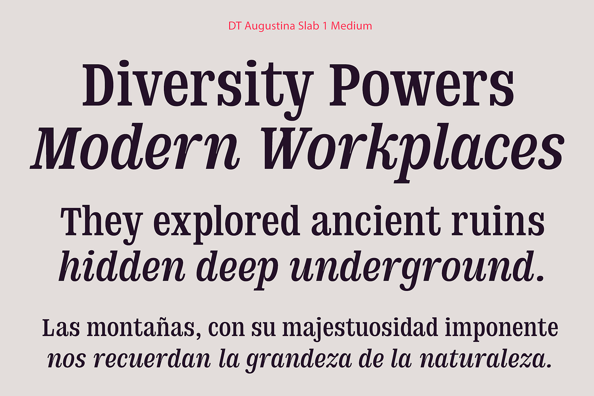 DT Augustina Slab 1 Subfamily, a Slab Serif Font by Deveze Type Foundry (Photo 9 of 31)