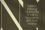 Qaisar Elegant Modern Serif, a Serif Font by timelesstype.co (Thumbnail 5 of 20)