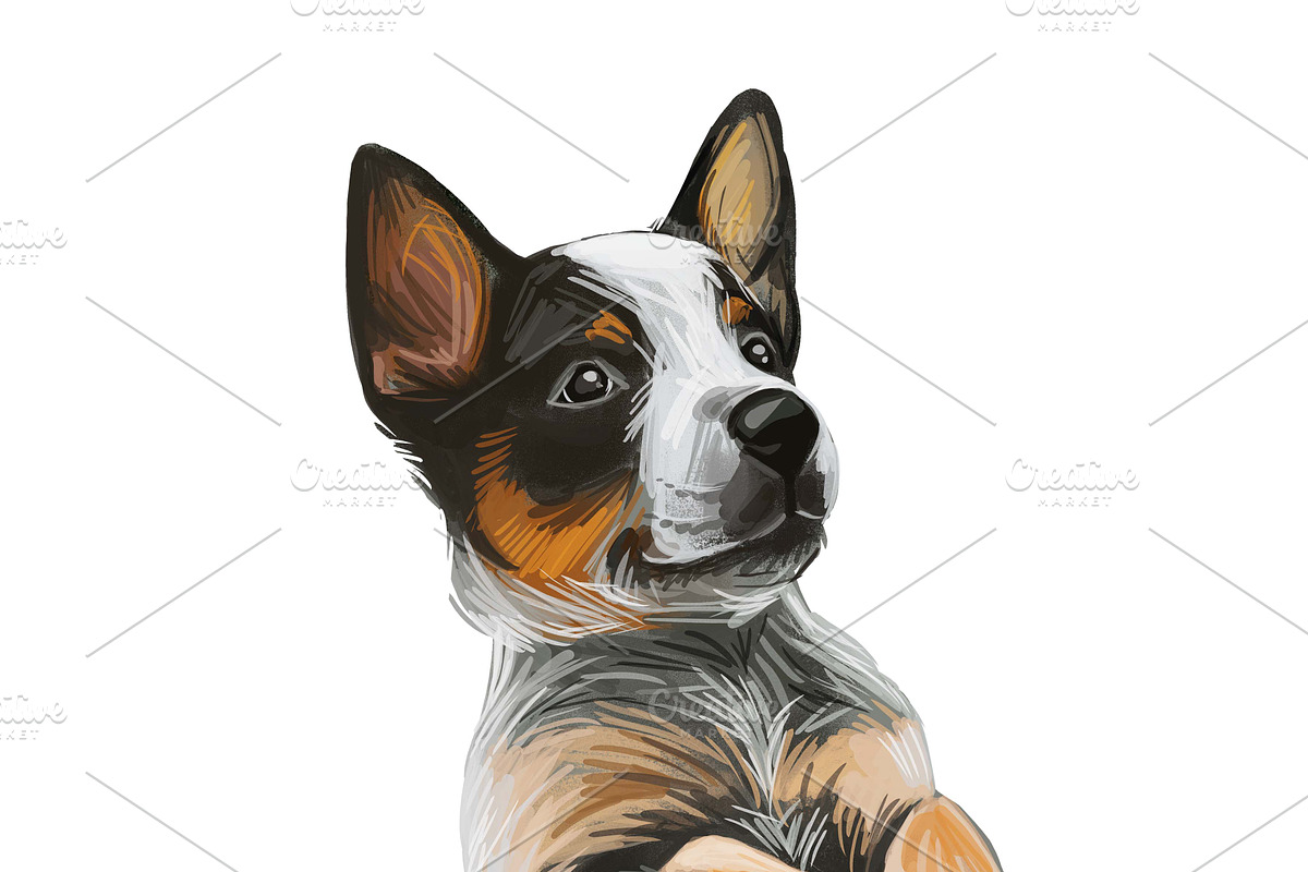 Dogs Cross Breeds 56 Animals Bundle, an Animal Illustration by Dneprstock (Photo 45 of 55)