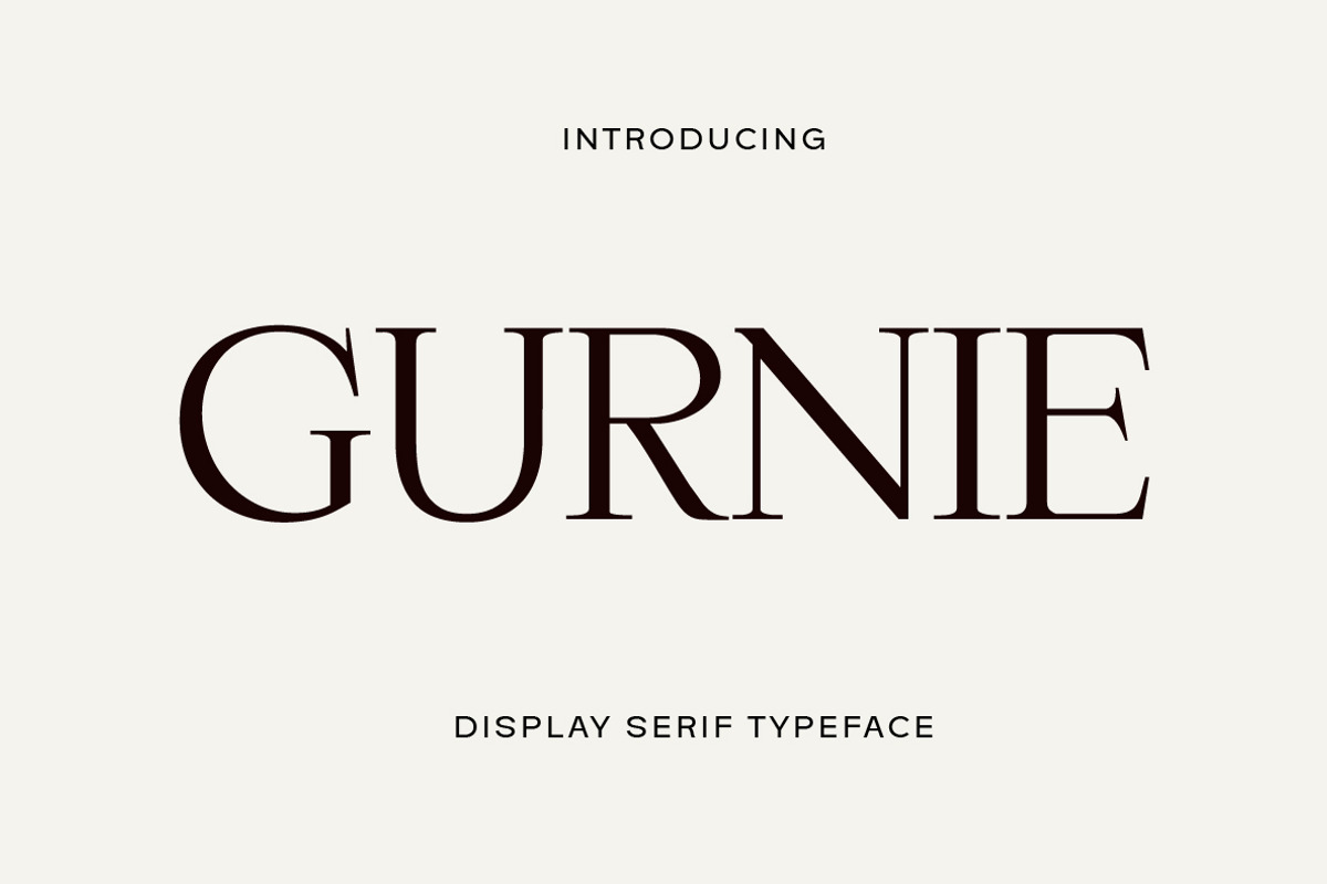 Gurnie Serif Fonts, a Serif Font by Yukita Creative (Photo 1 of 10)