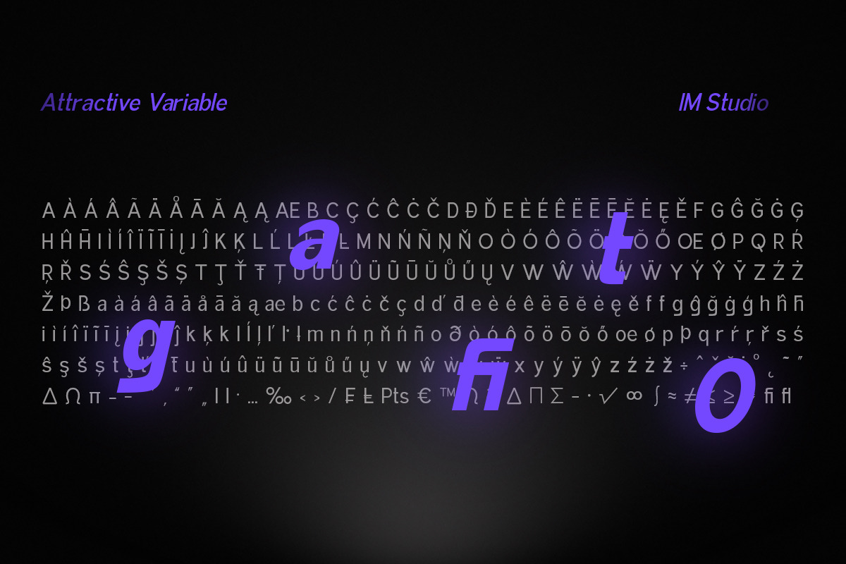 Attractive Variable (18 Fonts), a Serif Font by IM Studio (Photo 11 of 12)